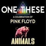 One Of These - A Celebration of Pink Floyd: Animals-Tour